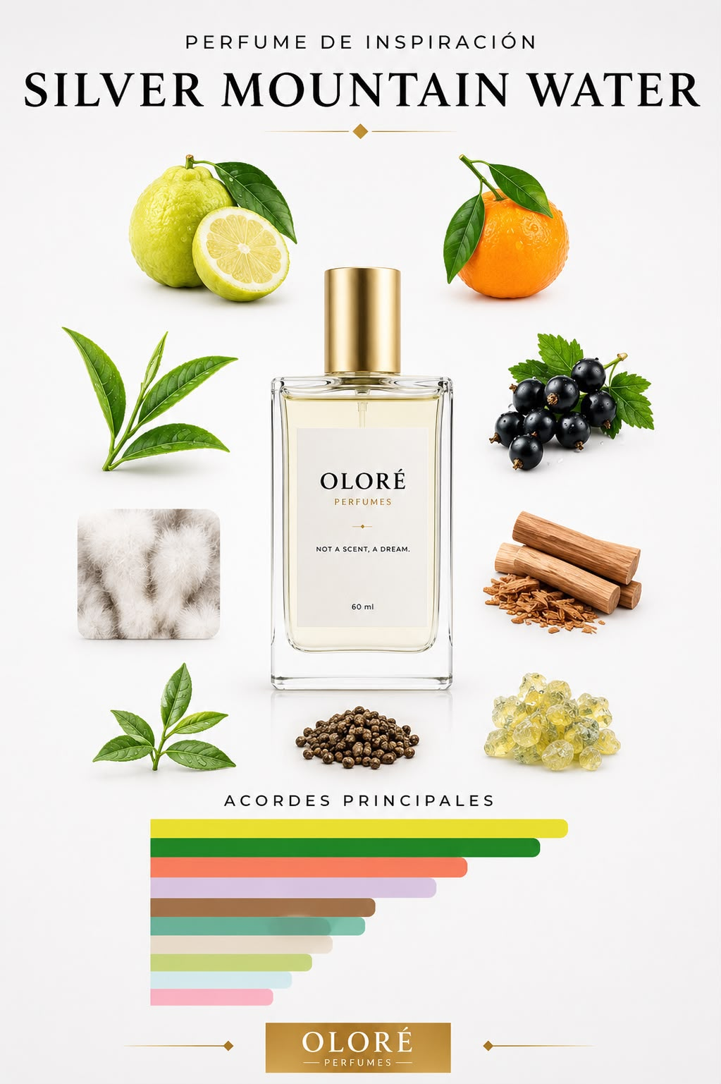 INSPIRADO EN CREED SILVER MOUNTAIN WATER